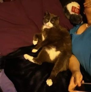 Meet your Posher, Mel